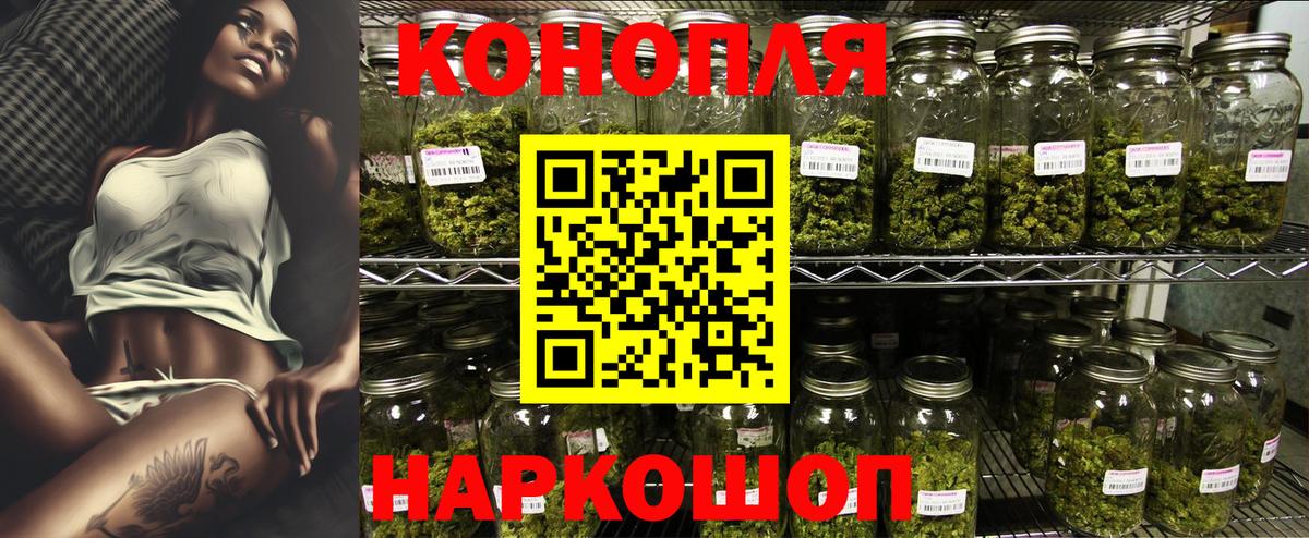 Бошки Шишки ГИДРОПОН Пушкино